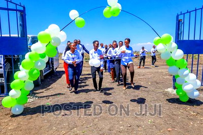 Investor's Paradise. Low Cost, High Value Kamakis. - Image 1