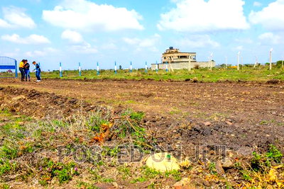 Investor's Paradise. Low Cost, High Value Kamakis. - Image 2