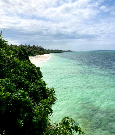 KSh 172M Beachfront Estate with Garden
