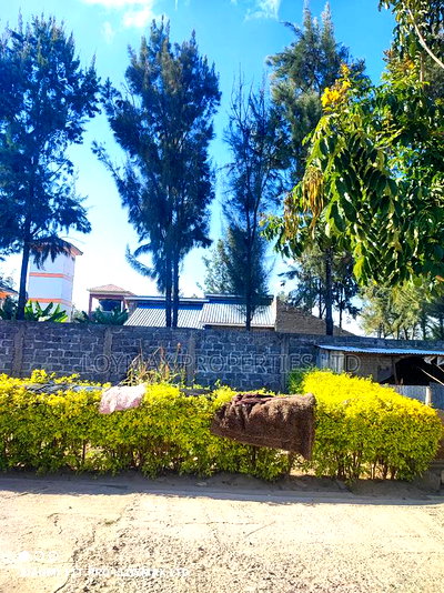 50/100 Plot in Kitengela Milimani Tumaini Estate - Image 10