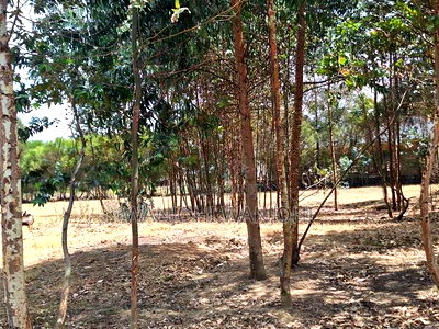 1/8 Acre Supreme Plots at Kasuku - Image 2