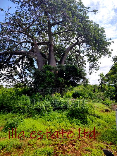 Developers Dream Plots - Image 3