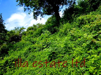 Developers Dream Plots - Image 2