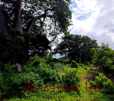 Developers Dream Plots - Image 4