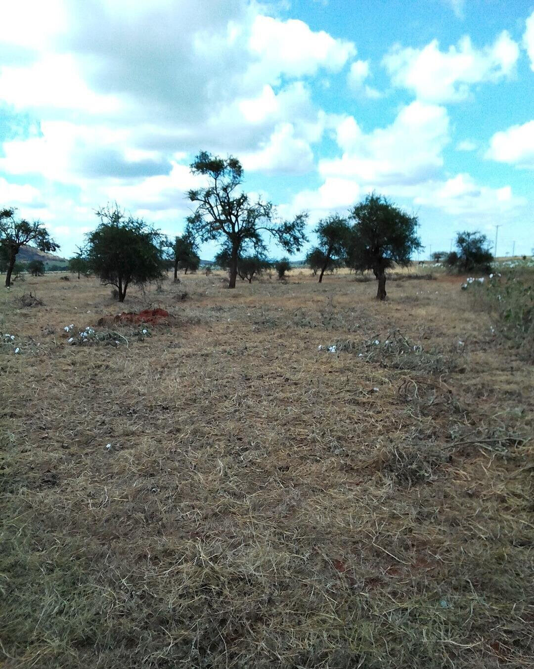 Half Acre Plot in Loitoktok