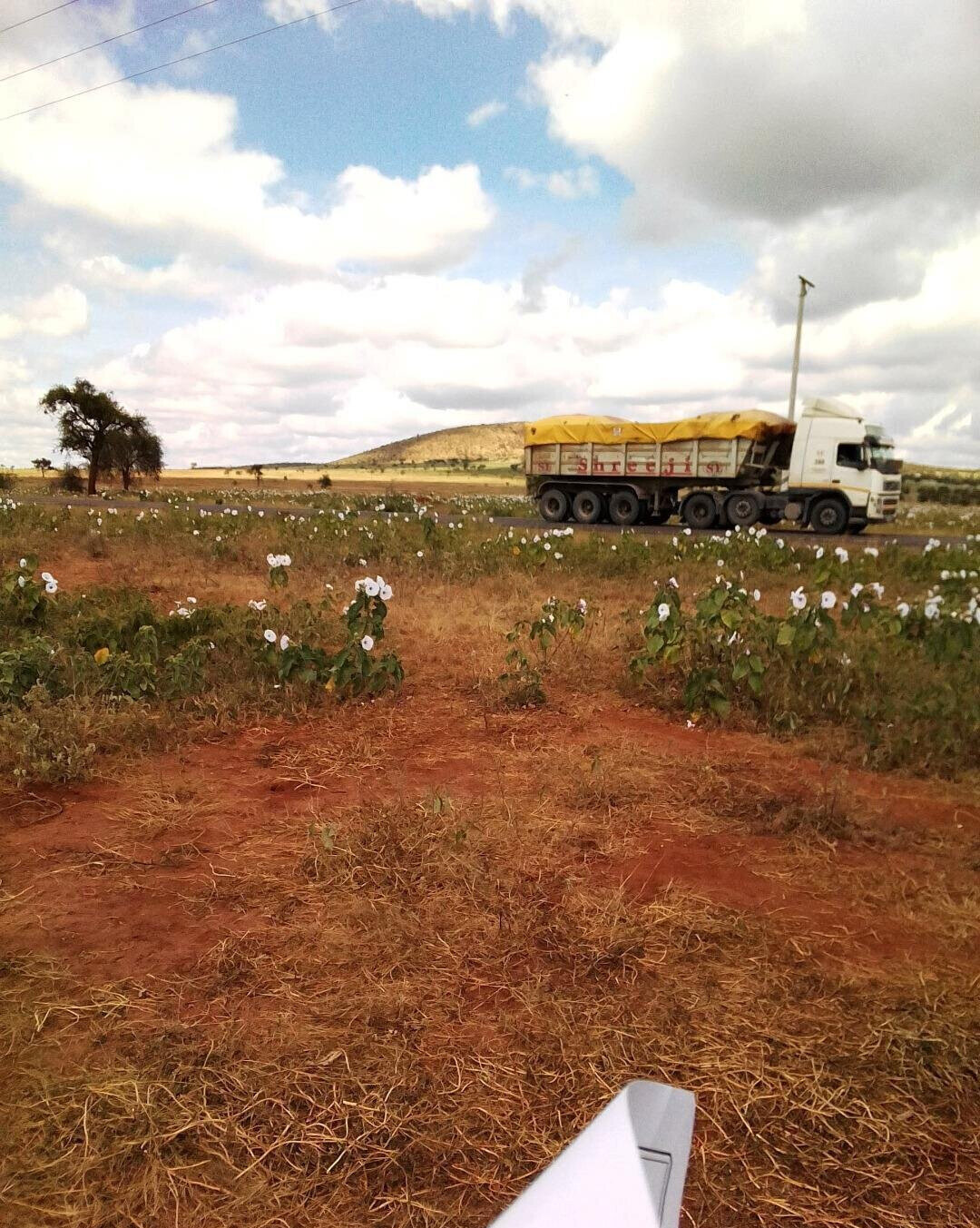 Half Acre Plot in Loitoktok