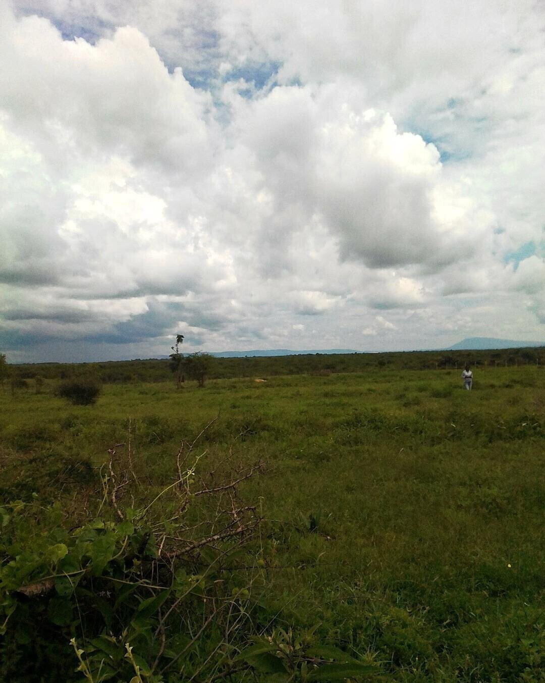 Half Acre Plot in Loitoktok