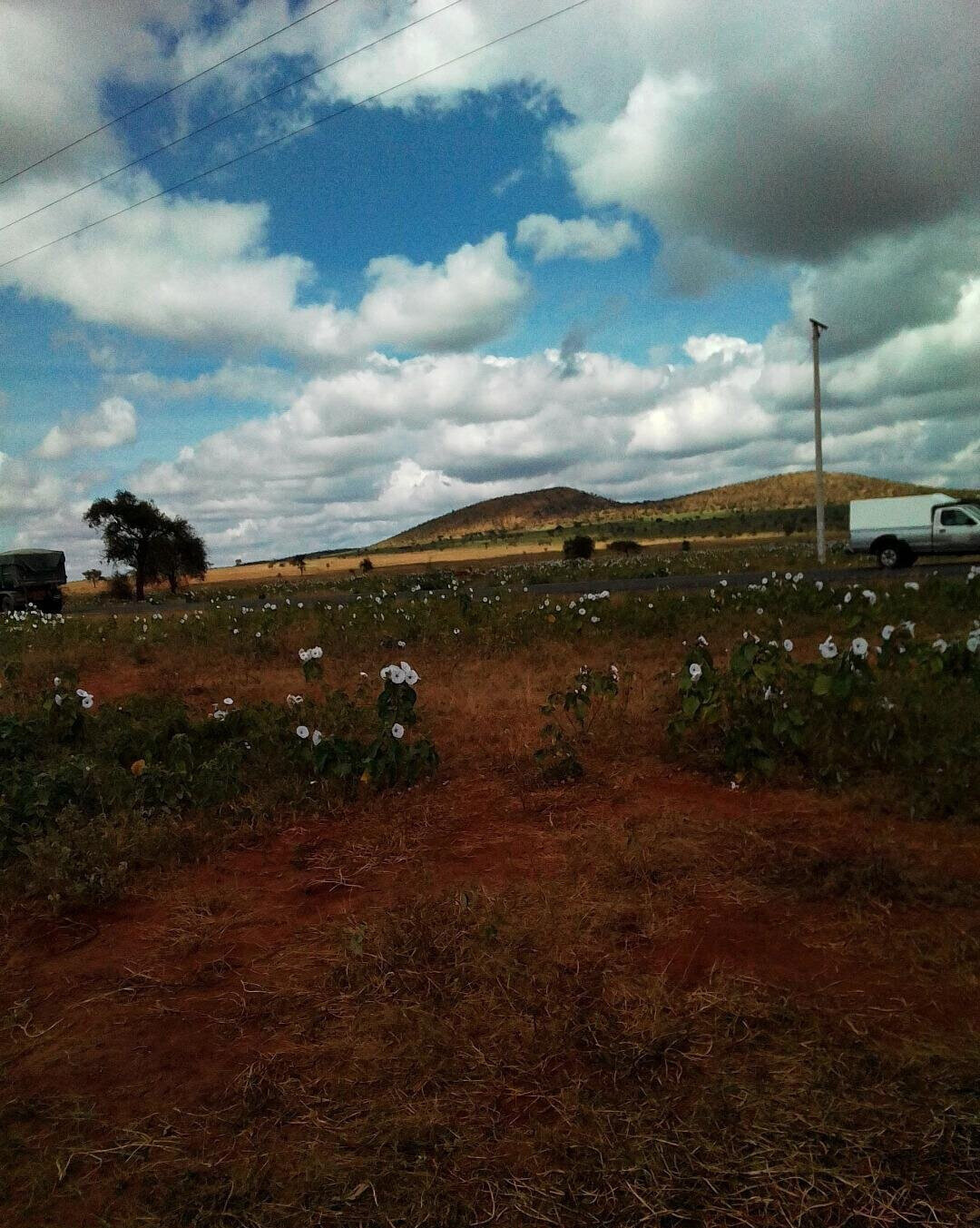 Half Acre Plot in Loitoktok