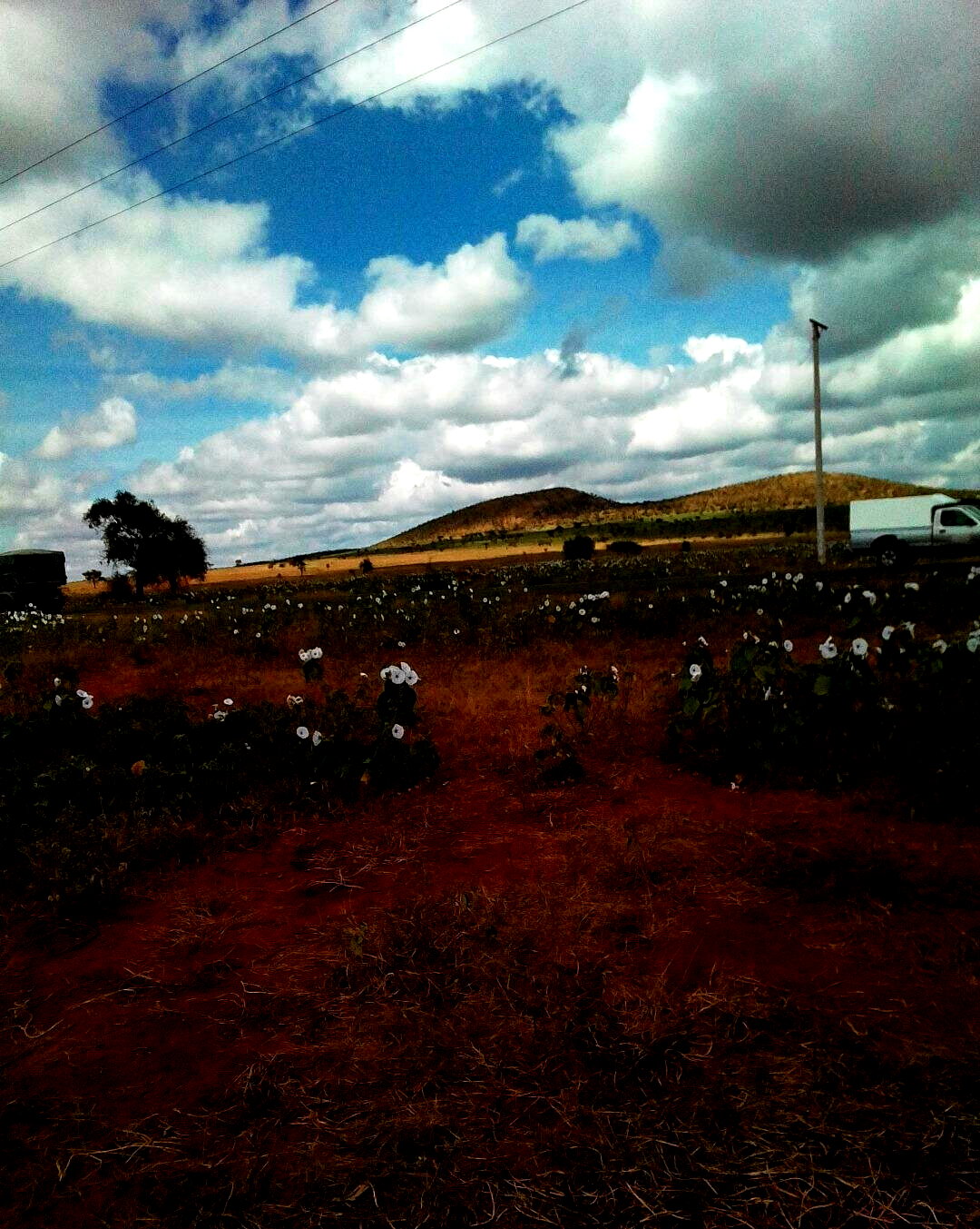 Half Acre Plot in Loitoktok
