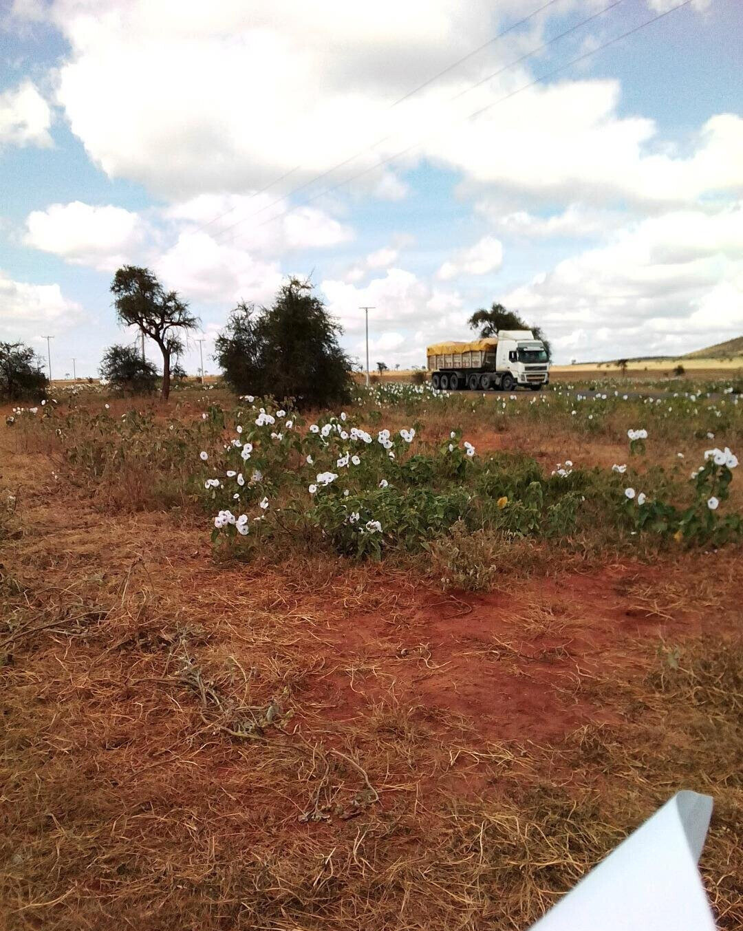 Half Acre Plot in Loitoktok