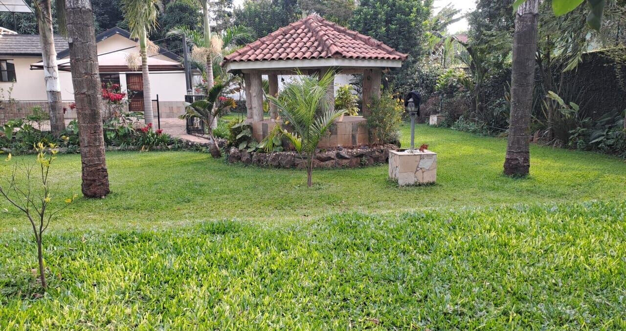 1/2 Acre 5BR Haven at KSh 450K
