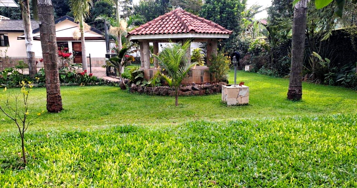 1/2 Acre 5BR Haven at KSh 450K