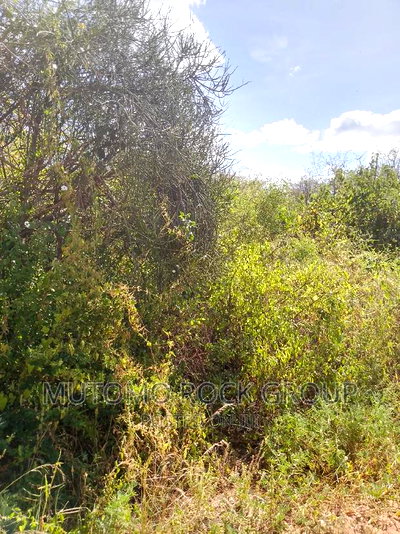 11.7acres For Sale - Image 2