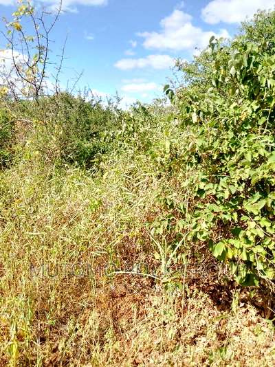 11.7acres For Sale - Image 1