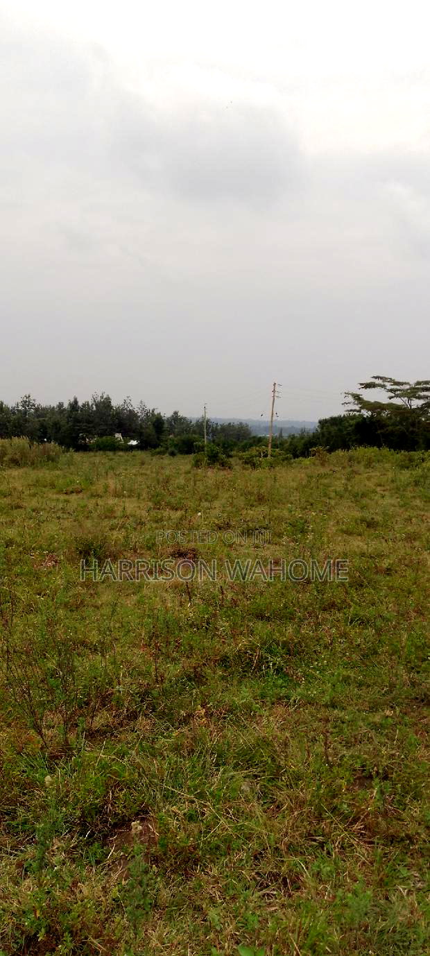50*100 (1/8)Acre Plots for Sale in Ngong Matasia