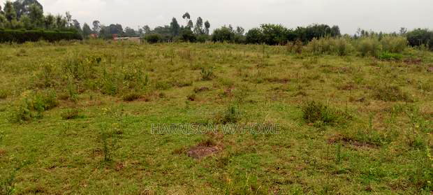 50*100 (1/8)Acre Plots for Sale in Ngong Matasia