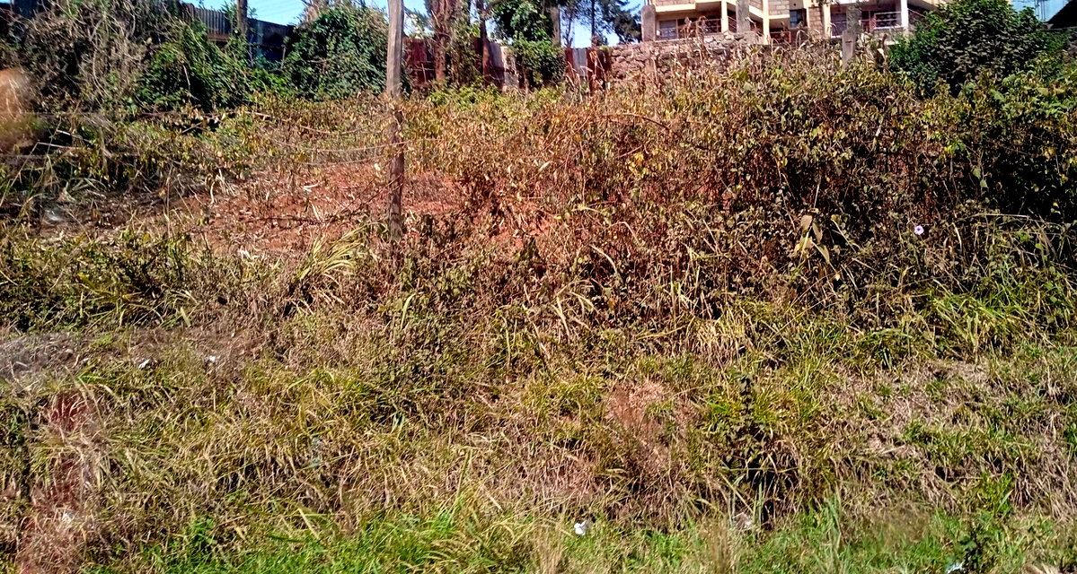 0.35 Acre Plot for KSh 28M