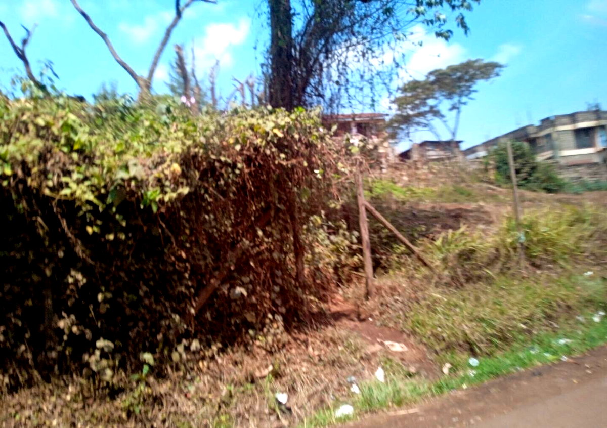 0.35 Acre Plot for KSh 28M