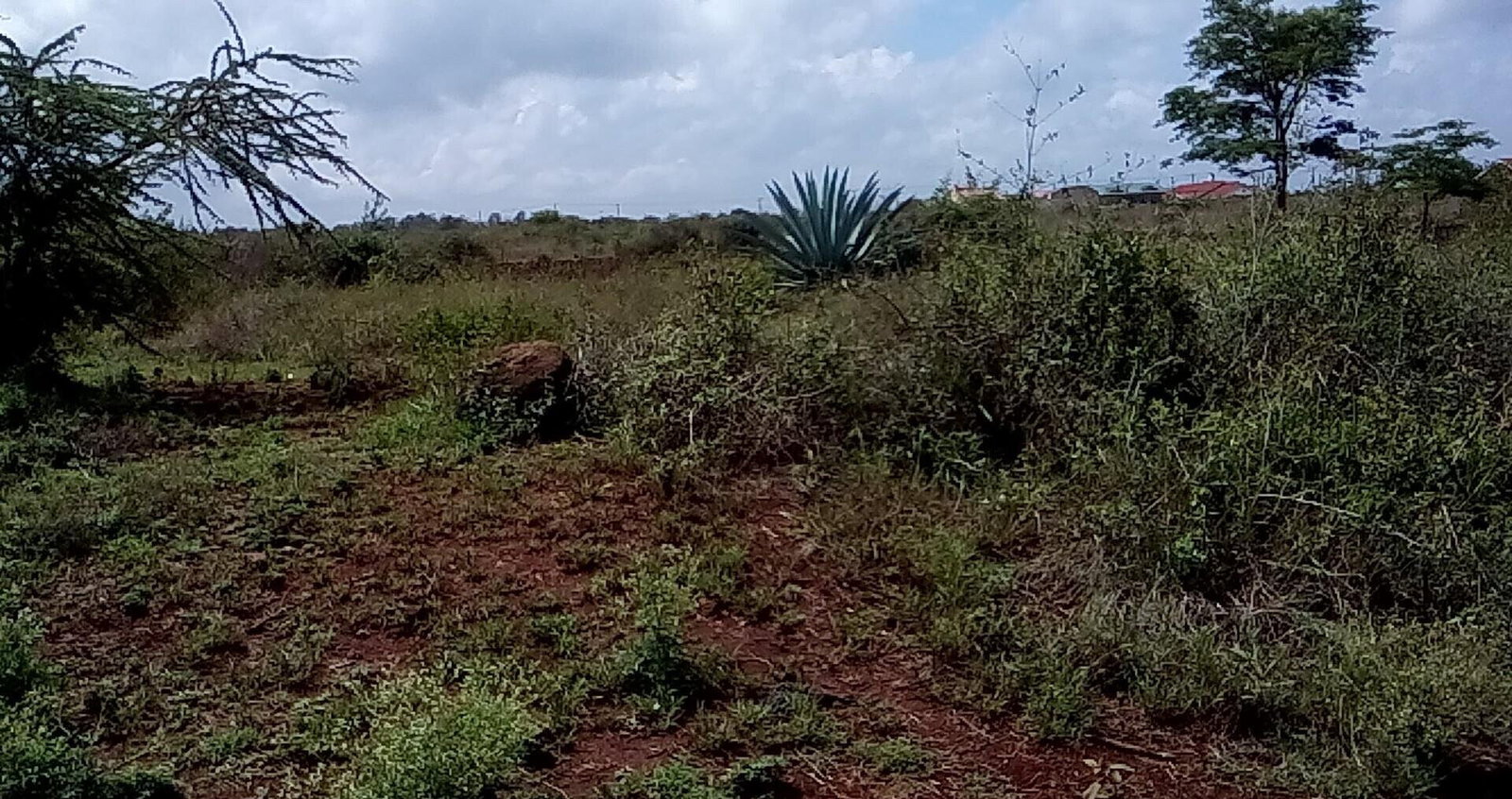 23-Acre Land with Tarmac Frontage