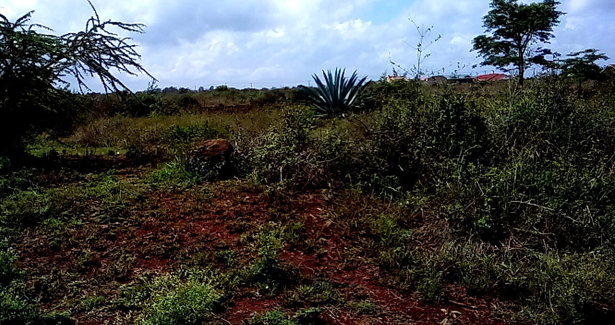 23-Acre Land with Tarmac Frontage