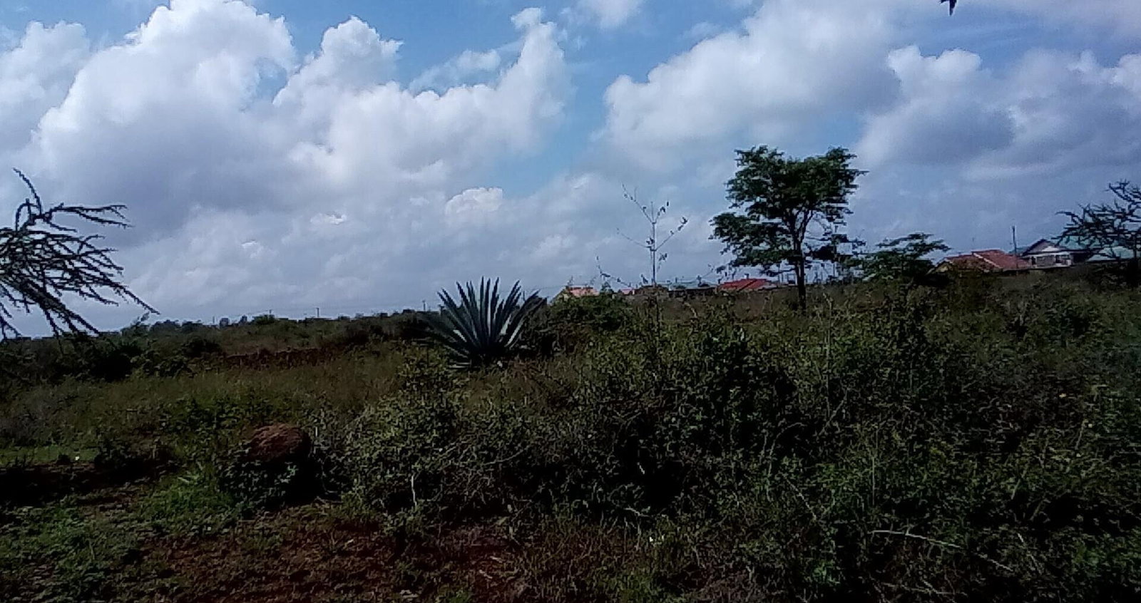 23-Acre Land with Tarmac Frontage