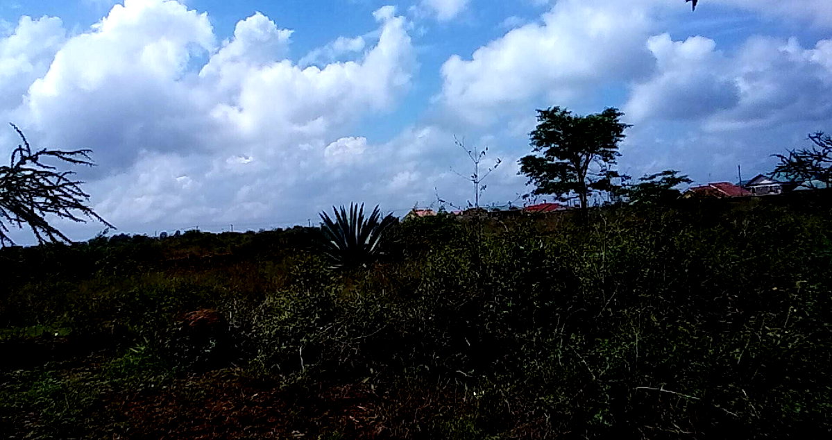 23-Acre Land with Tarmac Frontage