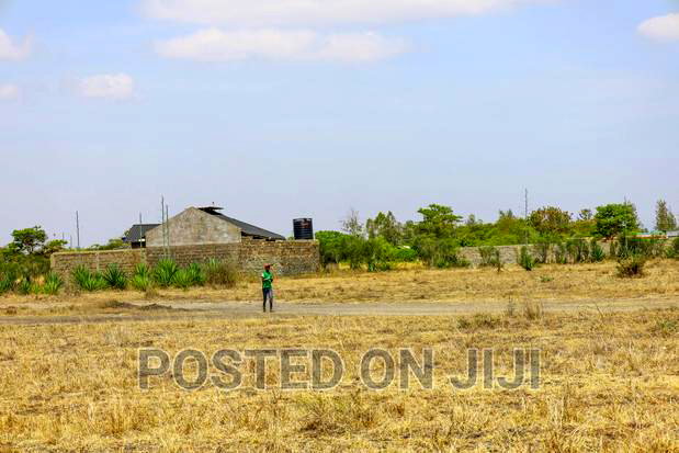 Plots for Sale 500m From the Main Road
