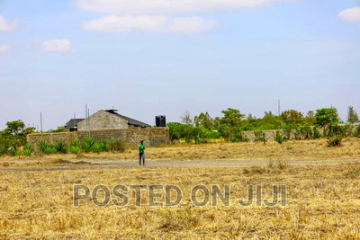 Plots for Sale 500m From the Main Road - Image 2