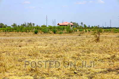 Plots for Sale 500m From the Main Road - Image 3