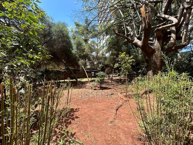 Office to Let Next to Hill Park Hotel