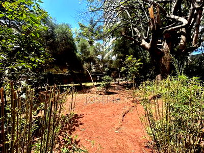 Office to Let Next to Hill Park Hotel - Image 13