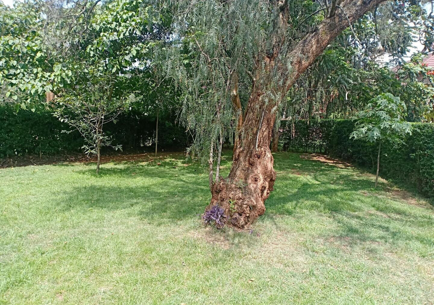3BR Garden Home at KSh 200K