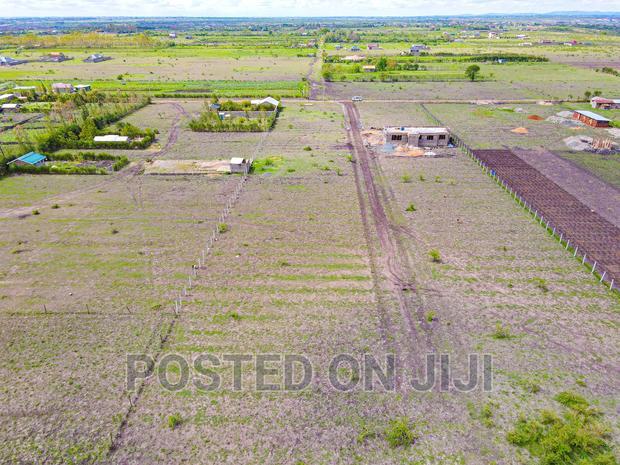 Jujafarm Plots, Buy and Build Immediately