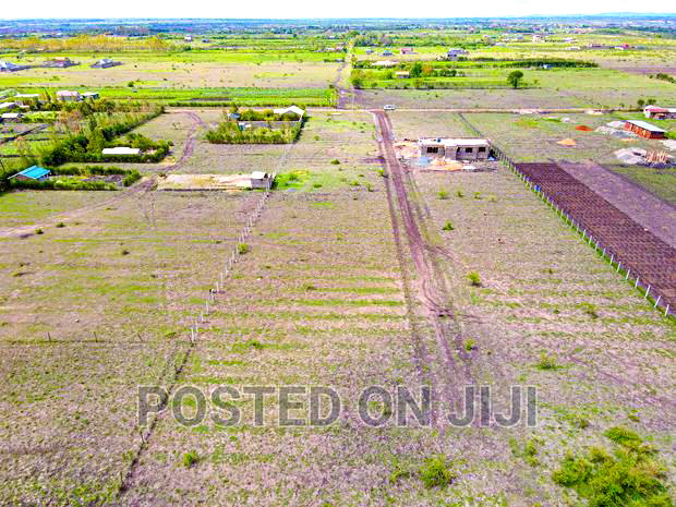 Jujafarm Plots, Buy and Build Immediately