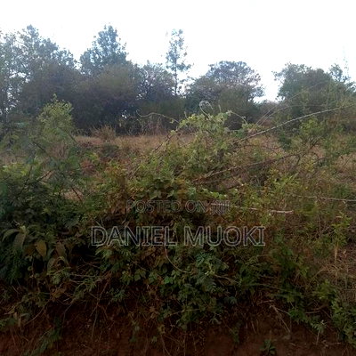 Full Acre Land Ithanga Muti - Image 7