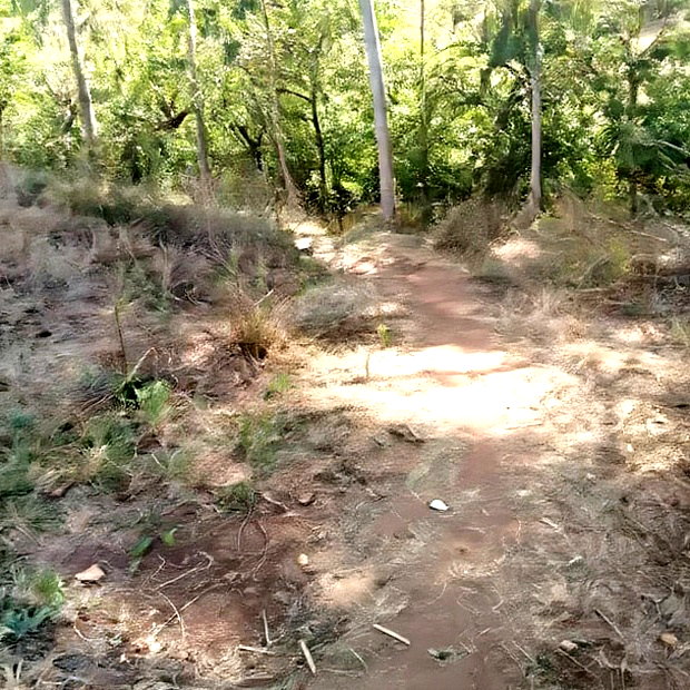 Full Acre Land Ithanga Muti