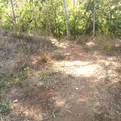 Full Acre Land Ithanga Muti - Image 3