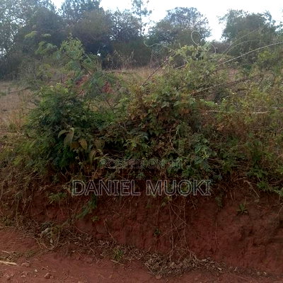 Full Acre Land Ithanga Muti - Image 4