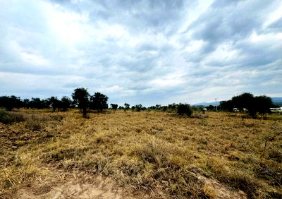 20-Acre Commercial Plot with Garden