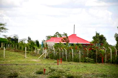 Isinya Plots - Image 4