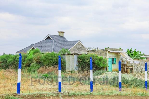 Plots in Murera