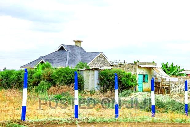 Plots in Murera