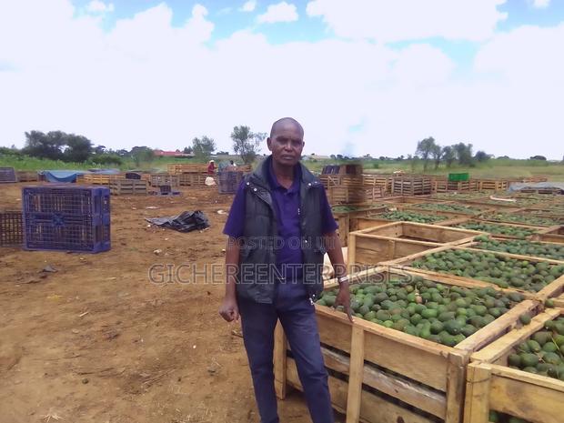 Thika Industrial Plot