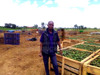 Thika Industrial Plot - Image 8