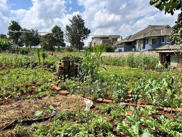 Runda Gardens 0.5acres