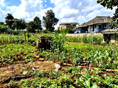 Runda Gardens 0.5acres - Image 13