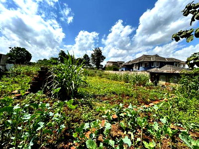 Runda Gardens 0.5acres - Image 6