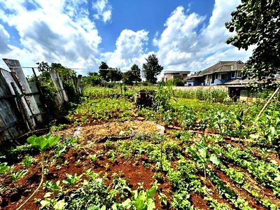 Runda Gardens 0.5acres - Image 12