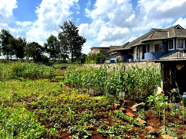 Runda Gardens 0.5acres