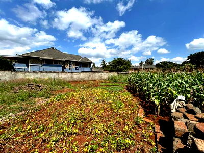 Runda Gardens 0.5acres - Image 4